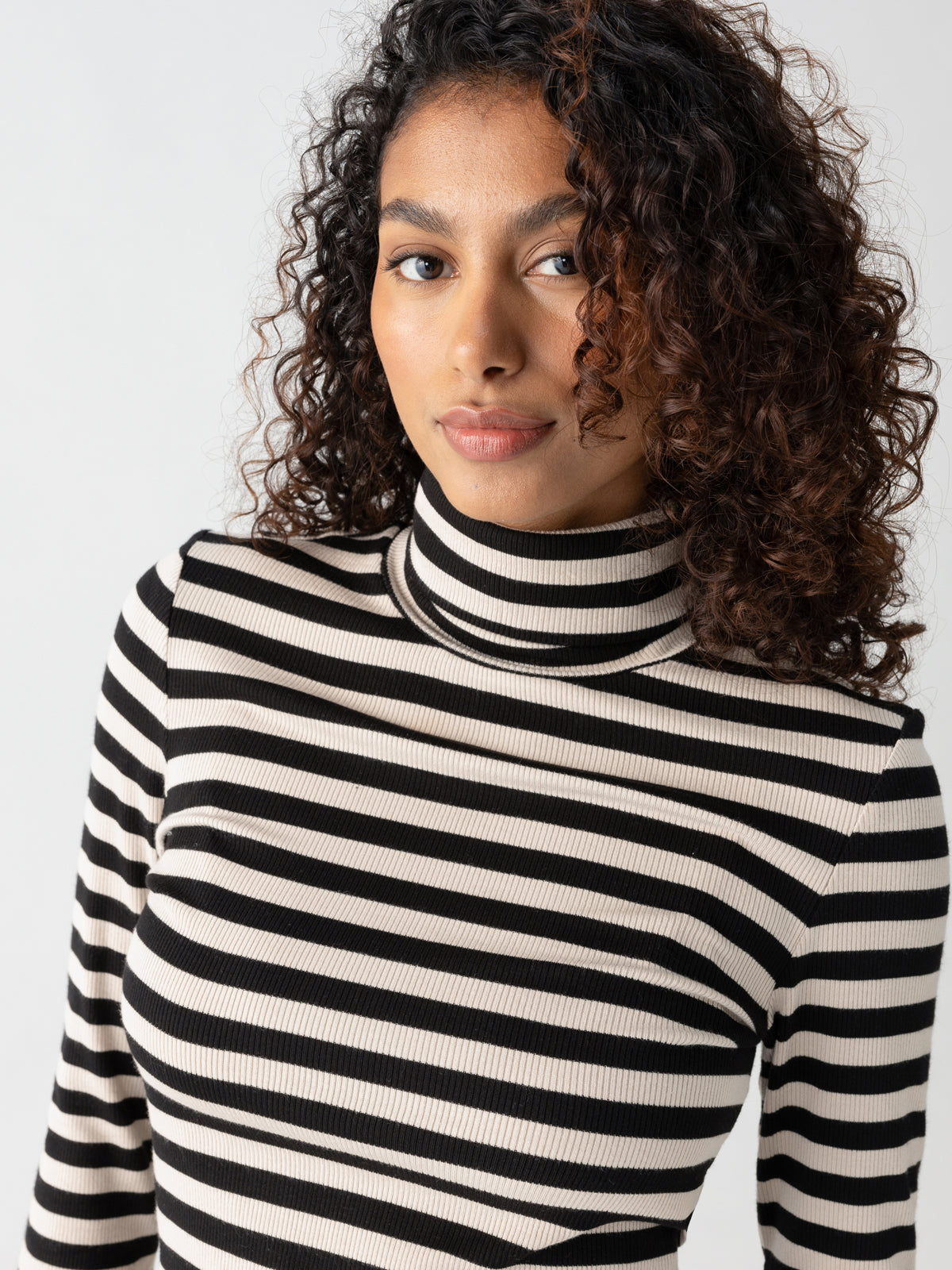 Essential Turtleneck Top Toasted Almond Black Mini Stripe Sanctuary Clothing