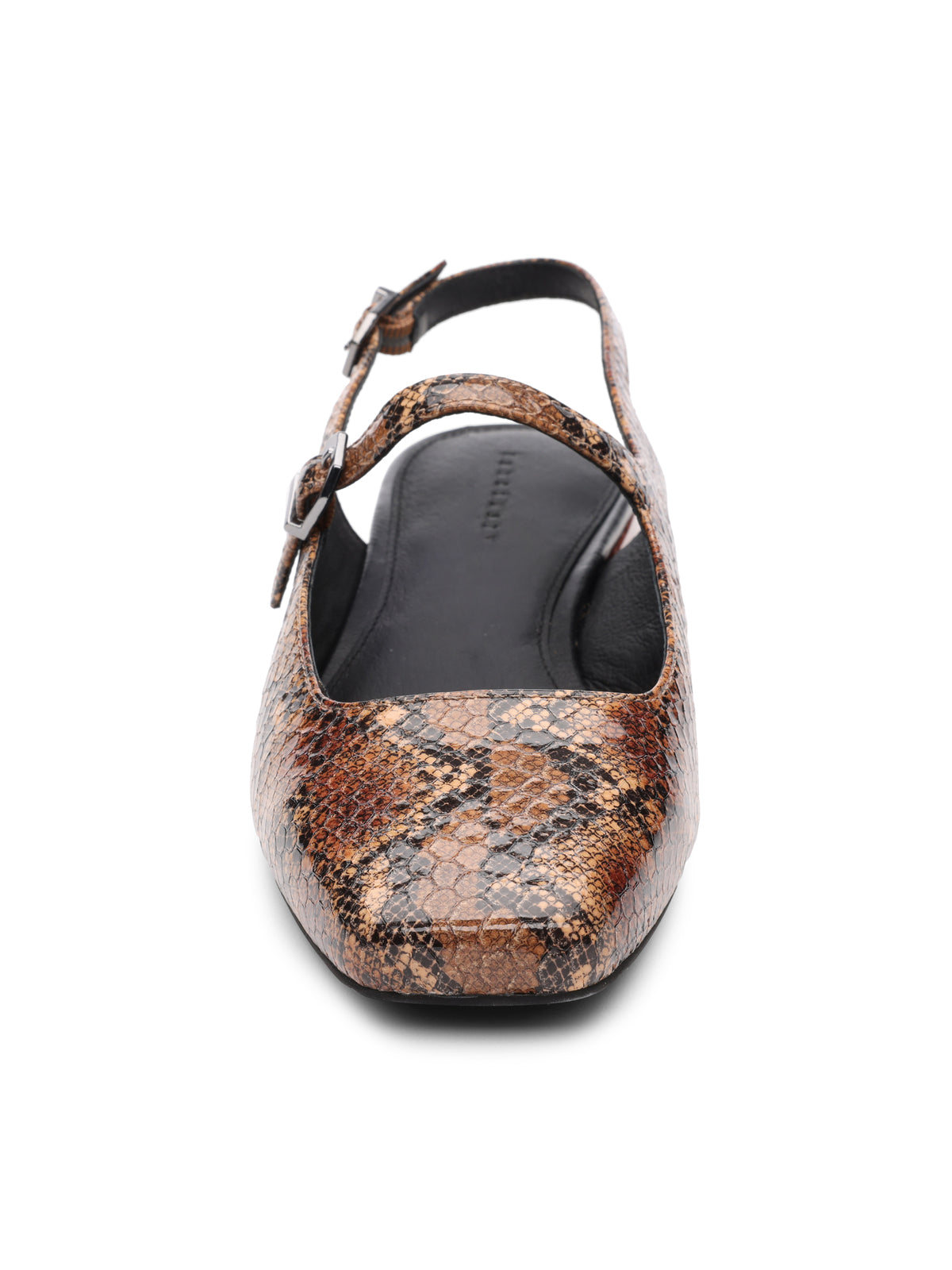 A close-up view of the Everly Slingback Flat Brown Black Snake by Sanctuary Clothing shows off its women's flat shoe design with a pointed toe, adorned in a brown and black snakeskin pattern. The shoe includes an adjustable strap with a silver buckle crossing over the foot. The interior is black.