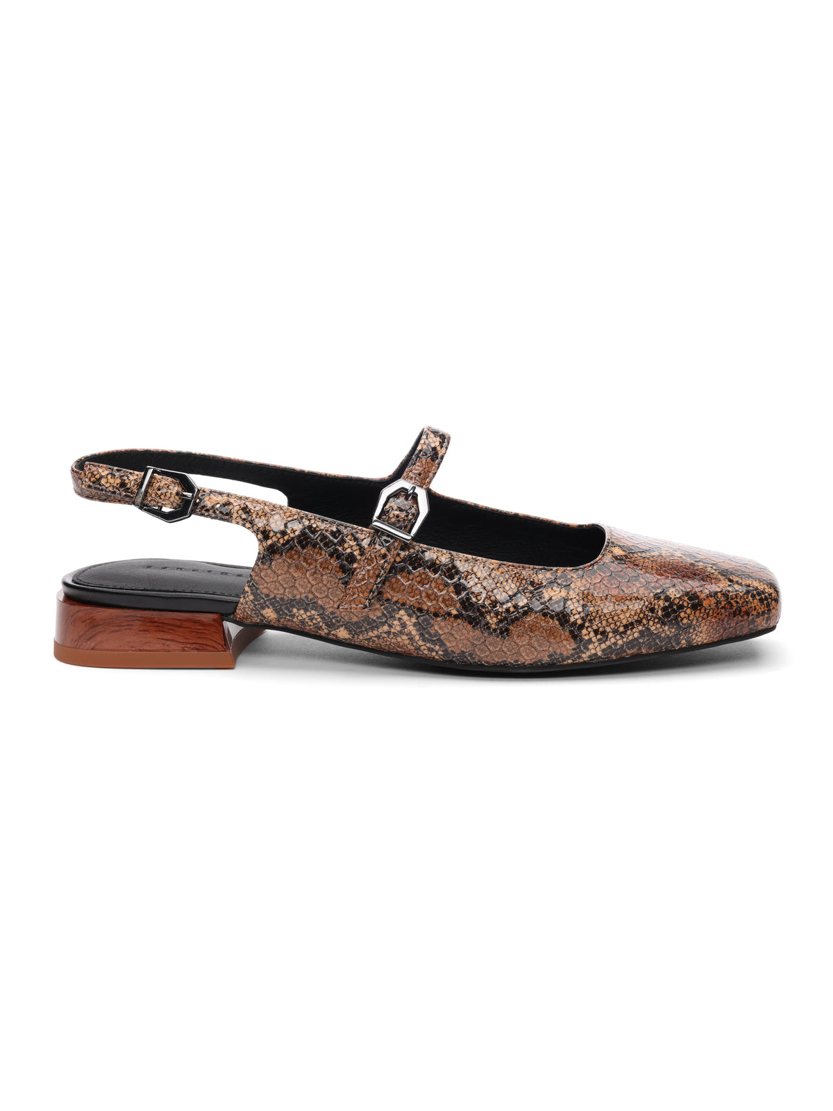 The Everly Slingback Flat in Brown Black Snake from Sanctuary Clothing showcases a single shoe with a sophisticated snakeskin pattern. It features a low wooden heel and a delicate strap with a buckle. This stylish shoe boasts a closed toe and an open back design, blending modern and classic elements for versatile wear on many occasions.